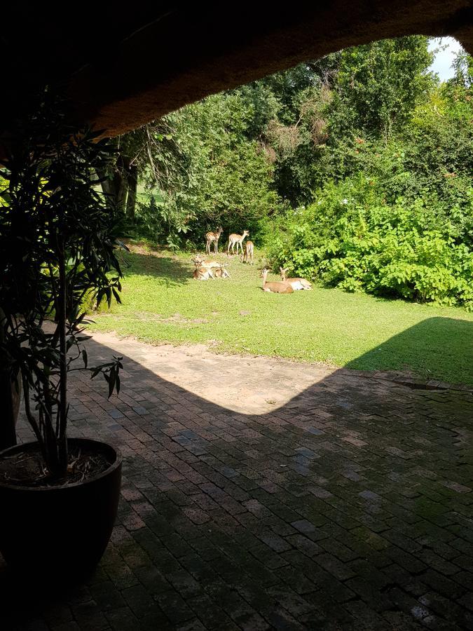 Kruger Park Lodge Unit No. 277 هازيفيو المظهر الخارجي الصورة